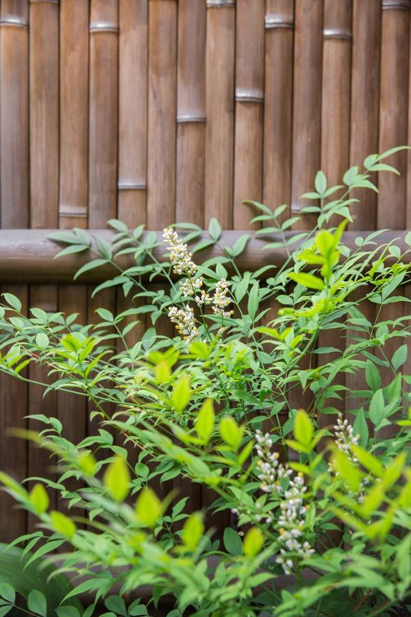 Kyoto Stay Temari エクステリア 写真